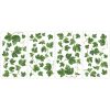 RoomMates Wall Decals Evergreen Ivy