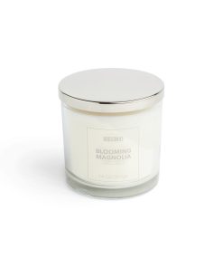 14oz Blooming Magnolia Scented Jar Candle by Hudson 43