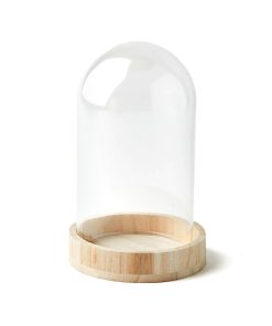 7.5 Dome Top Glass Terrarium by Park Lane