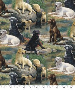 Springs Creative Best In Breed Novelty Cotton Fabric