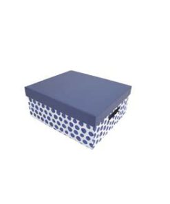 11 Blue Dots Rectangle Box With Cut Out Handles by Place   Time