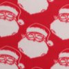 Santa on Red Blizzard Fleece Fabric