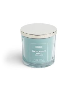 14oz Eucalyptus Mint Scented Jar Candle by Hudson 43