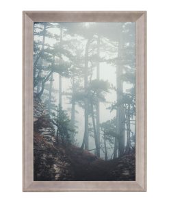 Walden Woods 11 x 17 Gray Wall Frame