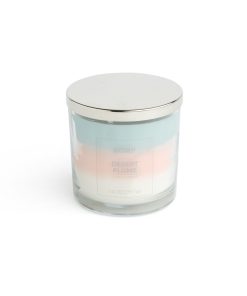 14oz Desert Plume 3 Wick Scented Jar Candle by Hudson 43