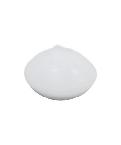 1 White Unscented Floating Tealights 6pk by Place   Time