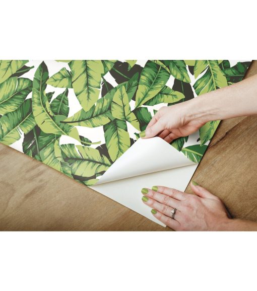 York Wallcoverings Wallpaper Palm Leaf - Image 6
