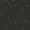 RoomMates Wallpaper Black Upon a Star