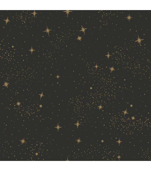 RoomMates Wallpaper Black Upon a Star