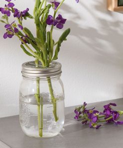 3 Mason Jar With Flower Frogs by Park Lane