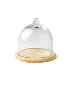5 Dome Handle Top Glass Terrarium by Park Lane