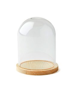 4 Dome Top Glass Terrarium by Park Lane