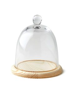 6 Dome Handle Top Glass Terrarium by Park Lane