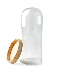 12.5 Dome Top Glass Terrarium by Park Lane