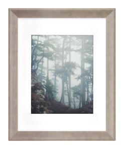 Walden Woods 11 14 Matted to 8 10 Gray Wall Frame