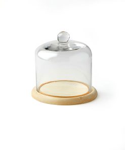 5 Handle Top Glass Terrarium by Park Lane