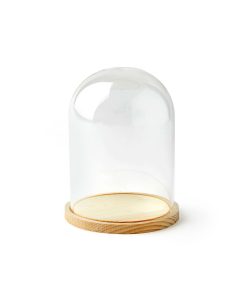 6 Dome Top Glass Terrarium by Park Lane